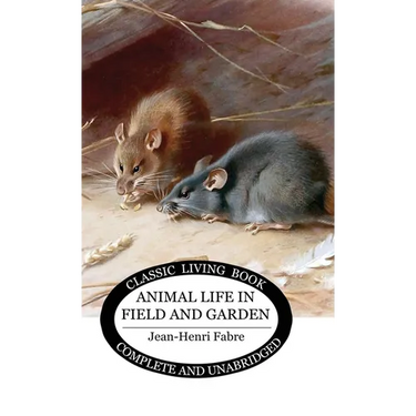 Animal Life in Field and Garden
