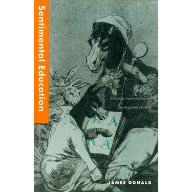 Sentimental Education: School, Popular Culture and the Regulation of Liberty