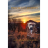 Priscilla's Journey
