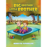 Big Brother, Little Brother