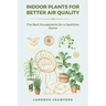 Indoor Plants for Better Air Quality: The Best Houseplants for a Healthier Home