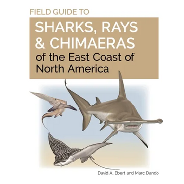 Field Guide to Sharks, Rays and Chimaeras of the East Coast of North America