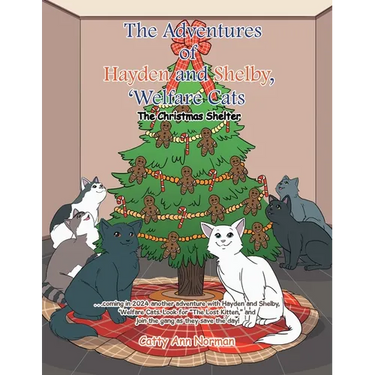 The Adventures of Hayden and Shelby, 'Welfare Cats: The Christmas Shelter