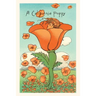 The Vintage Journal Illustration of California Poppy Person