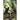 The Rattan Curtain: A Filipino Martial Arts Adventure
