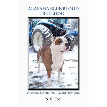 Alapaha Blue Blood Bulldog: History, Birth, Raising, and Training