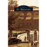 St. Bernard