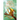 Upon Wings of Change