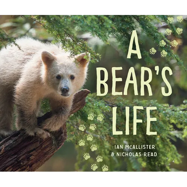 A Bear's Life