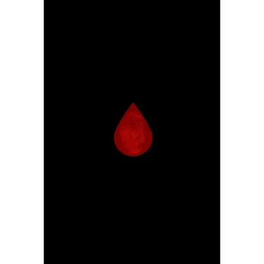 Bleed