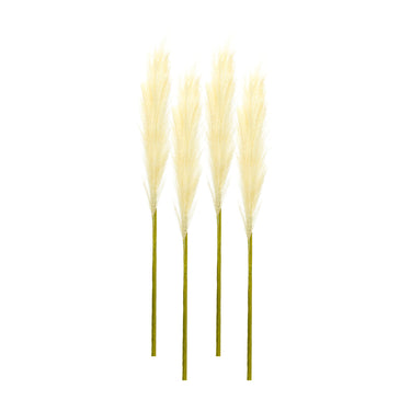 Cream Pampas Gass Stem (Set of 4)