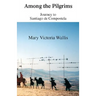 Among the Pilgrims: Journeys to Santiago De Compostela