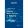 Quantum Chromodynamics on the Lattice: An Introductory Presentation