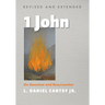 1 John, Revised and Extended: On Docetism and Resurrection