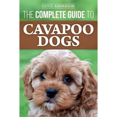 The Complete Guide to Cavapoo Dogs: Everything you need to know to successfully raise and train your new Cavapoo puppy