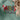 8409bd4570a34fbe9eacb83b2bc11999-Max