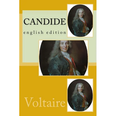 Candide: english edition