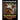 The Reflections of My Yorkshire Terrier: A Coloring Book