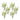 Varigated Fern Bundle with Sprout Accents (Set of 6)