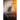 A Horse Named Spirit