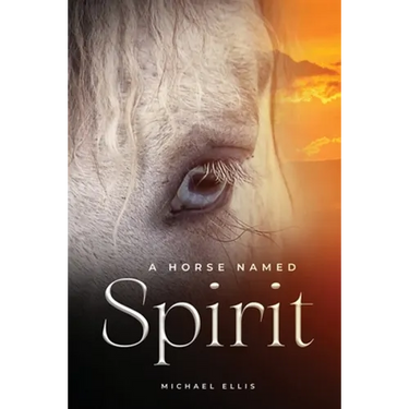 A Horse Named Spirit