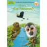 Where Is the Amazon?