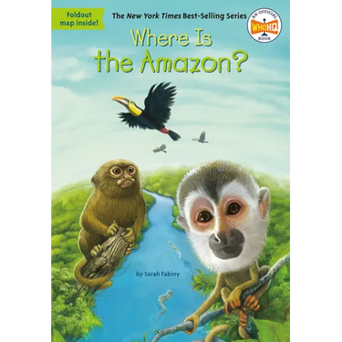 Where Is the Amazon?