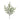 Pine Spray (Set of 2)