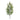 Pine Spray (Set of 2)