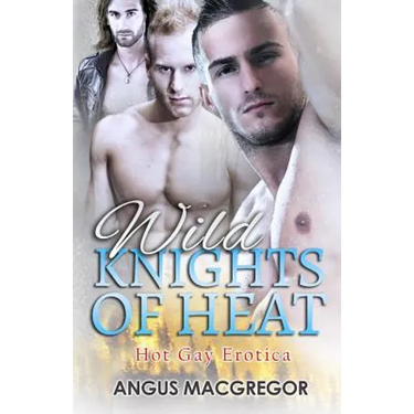 Wild Knights of Heat: Hot Gay Erotica