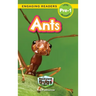 Ants: Backyard Bugs and Creepy-Crawlies (Engaging Readers, Level Pre-1)