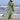 874f722b-0cf6-4e54-8ec1-942534b05f4b-Max