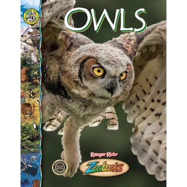Owls