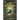 The Lost Rainforest: Mez's Magic