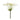Queen Anne's Lace Stem (Set of 2)