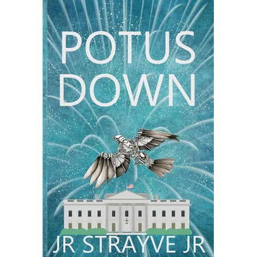 Potus Down