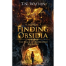 Finding Obsidia