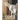 Goats: The Picture Book of Beautiful Goats for Kids, Alzheimer's Seniors with Dementia.