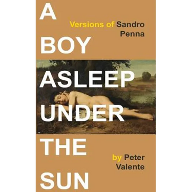 A Boy Asleep Under the Sun: Versions of Sandro Penna