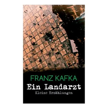 Ein Landarzt - Kleine Erzählungen: Ein Traum, Der neue Advokat, Auf der Galerie, Ein altes Blatt, Vor dem Gesetz, Schakale und Araber, Ein Besuch im B