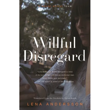 Willful Disregard: A Novel about Love