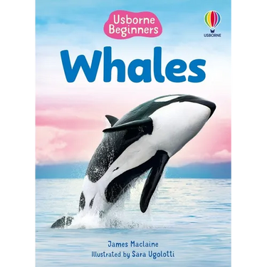 Beginners Whales