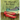 The Alligator's Red Shoes