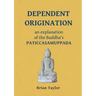 Dependent Origination: An Explanation of the Buddha's PATICCASAMUPPADA