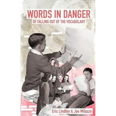 Words in Danger of Falling out of the Vocabulary