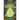 Lime Green Ghost