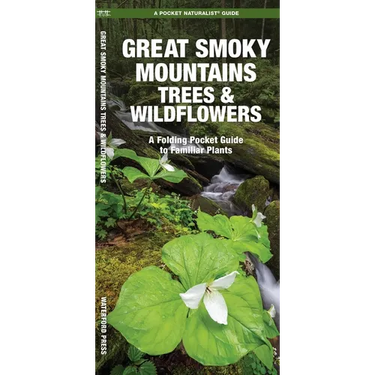 Great Smoky Mountains Trees & Wildflowers: A Folding Pocket Guide to Familiar Plants