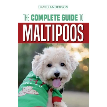 The Complete Guide to Maltipoos: Everything you need to know before getting your Maltipoo dog