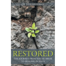 Restored: The Journey from Sexual Abuse to Healing in Jesus