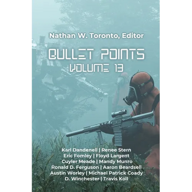 Bullet Points 13